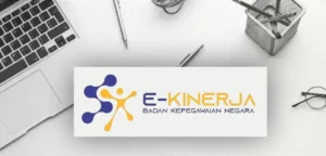 e Kinerja BKN