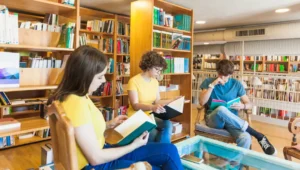 aplikasi perpustakaan online