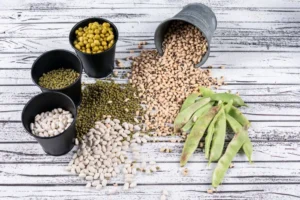 Bibit Dari Biji Tanaman